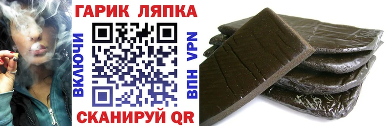 ГАШ Premium Светлогорск