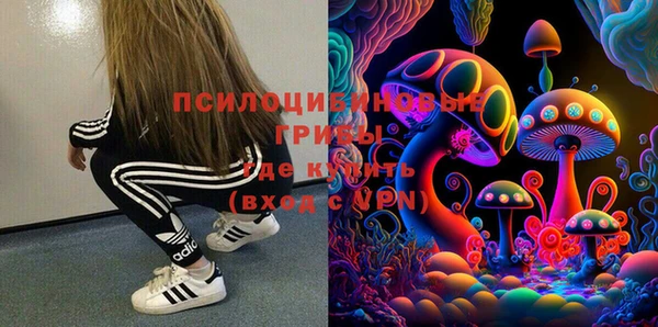 крисы Армянск