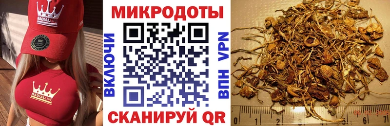 Галлюциногенные грибы Magic Shrooms  Светлогорск 